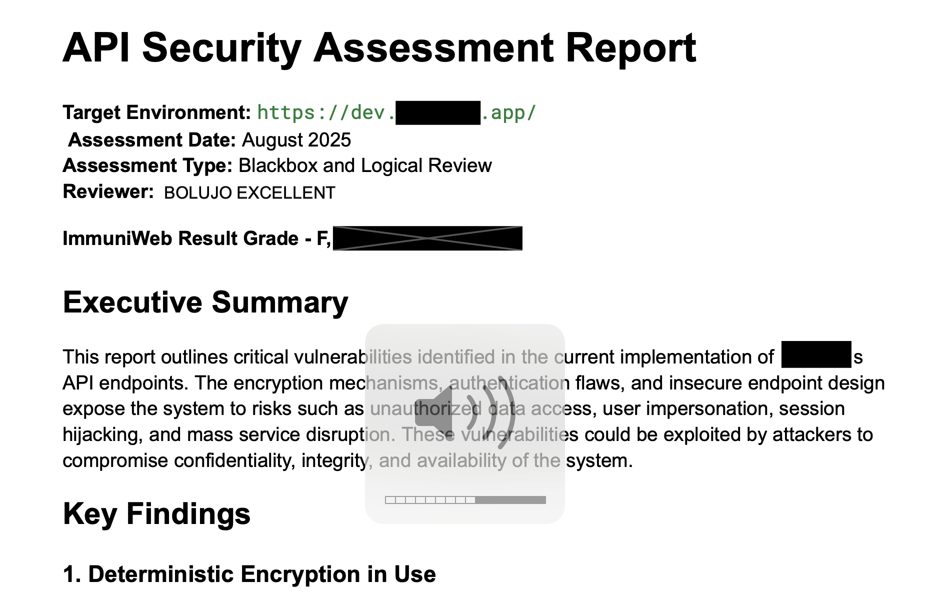 Report of Security Assessment on API Collection.